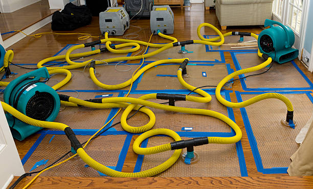Professional Crawl Space Water Removal technician working in Cactus, TX